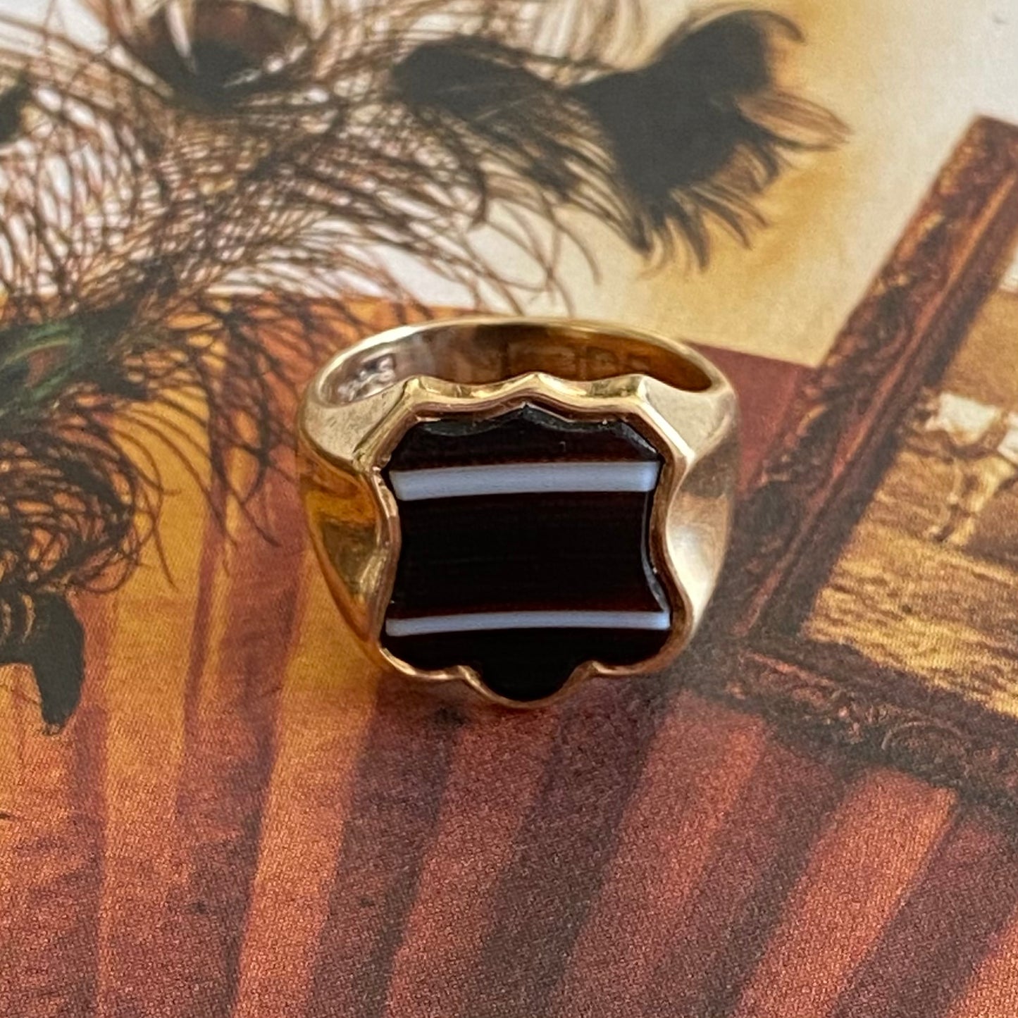 9ct Gold Banded Agate Shield Signet Ring  |  Size UK H